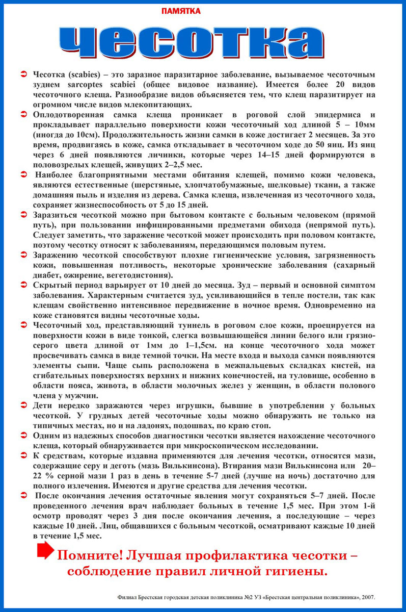 Чесотка